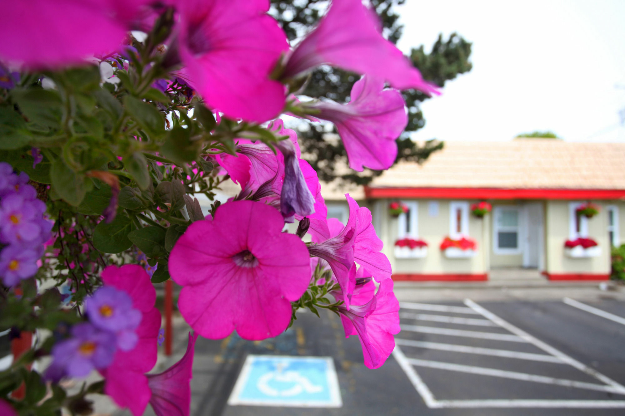 City Centre Motel By Oyo Seaside Buitenkant foto